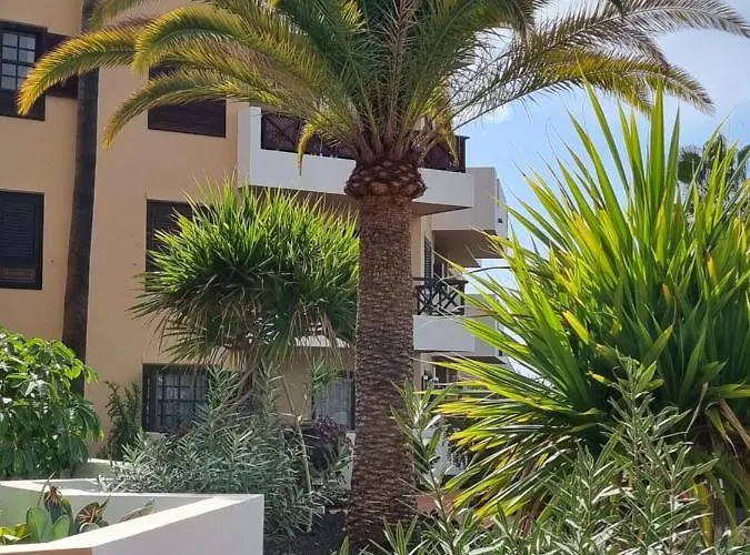 349 Golf Del Sur Albatros *