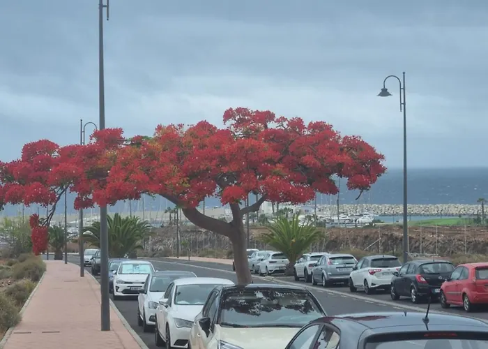 349 Golf Del Sur Albatros *