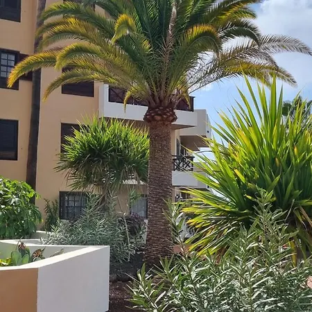 349 Golf Del Sur Albatros *