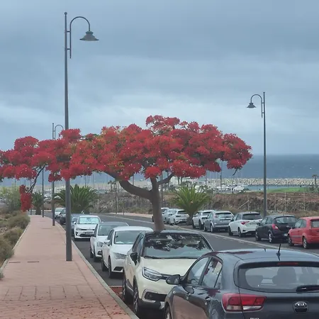 349 Golf Del Sur Albatros *